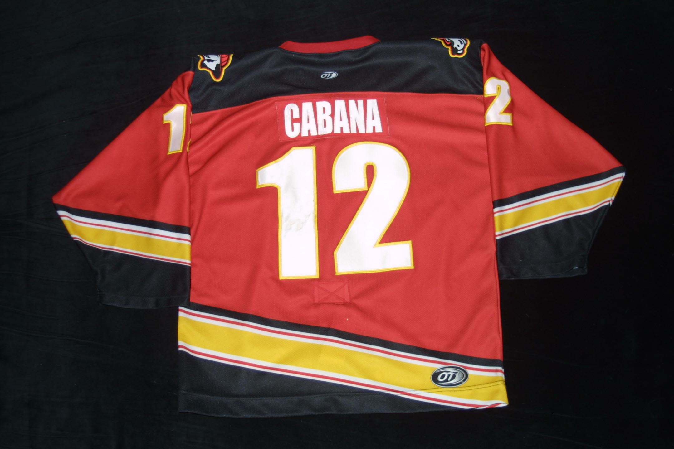 CalderCup2000's Game Worn ECHL Jersey Collection