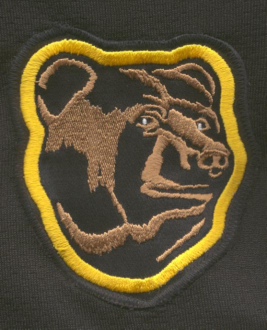 Boston Bruins shoulder patch patches 