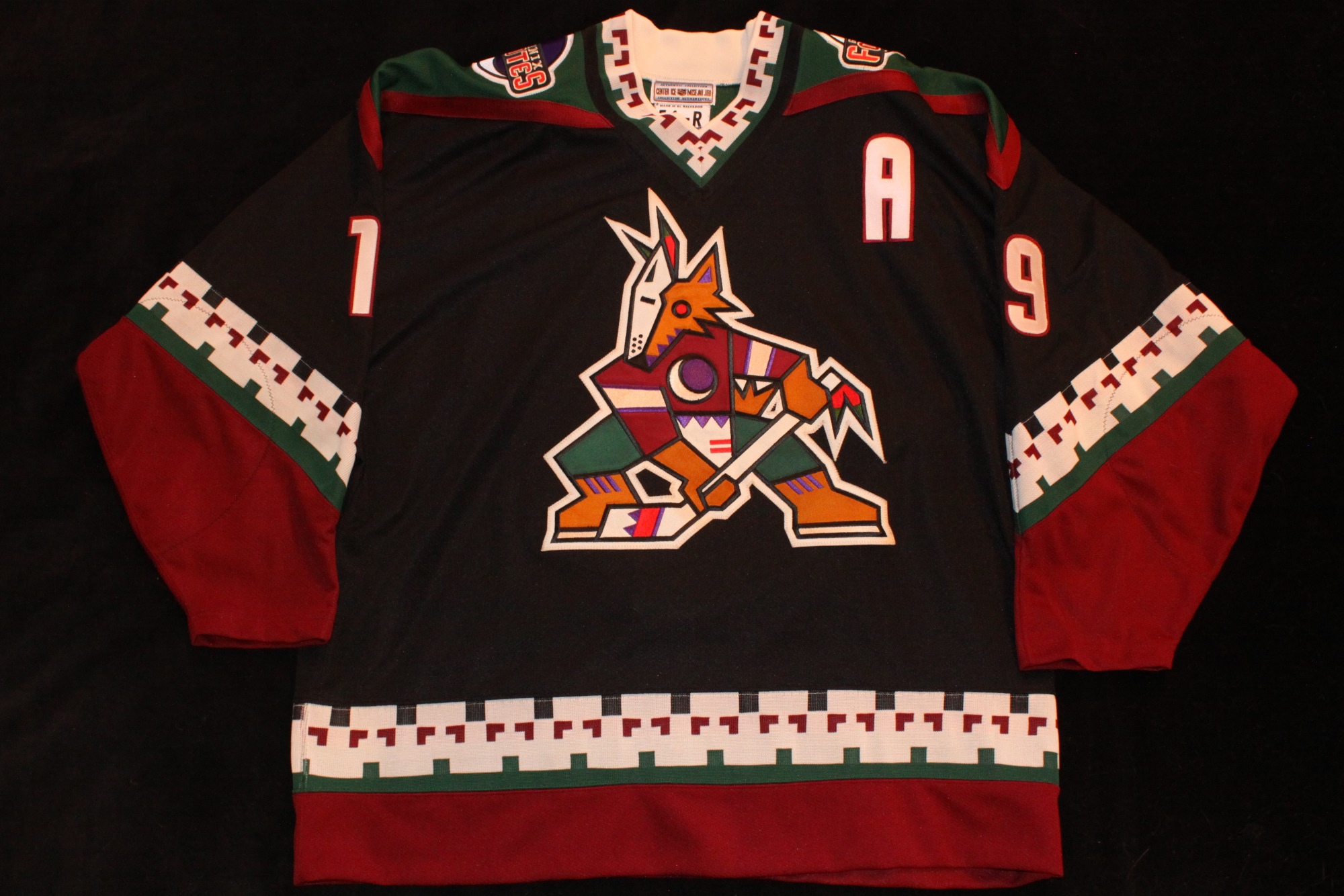 phoenix coyotes starter jersey